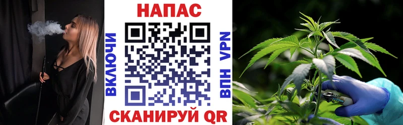 Купить закладки  Буй  Шишки марихуана гибрид 